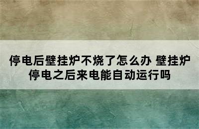 停电后壁挂炉不烧了怎么办 壁挂炉停电之后来电能自动运行吗